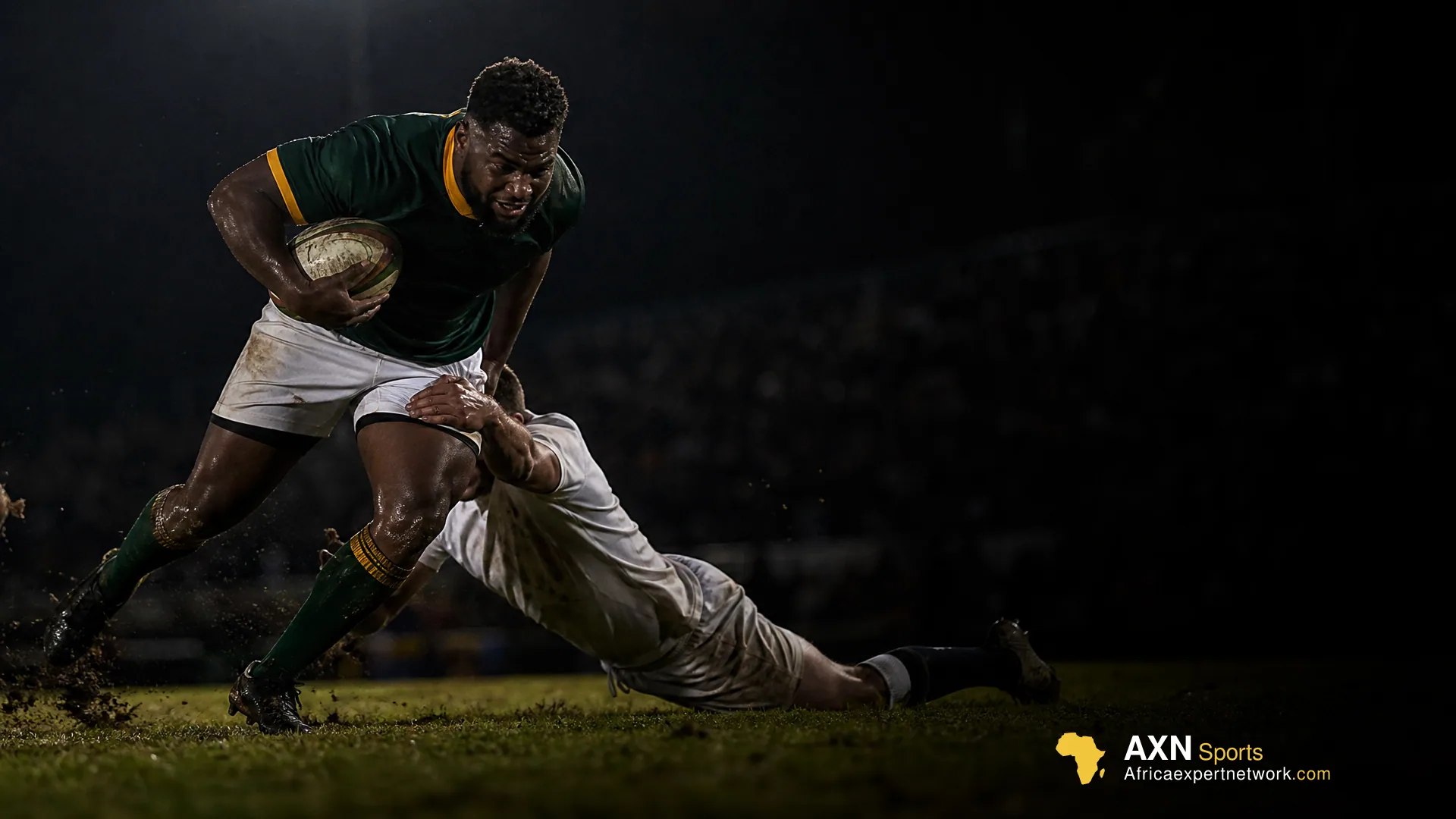 Springboks name 43 for Argentina Test and All Blacks Rivalry series